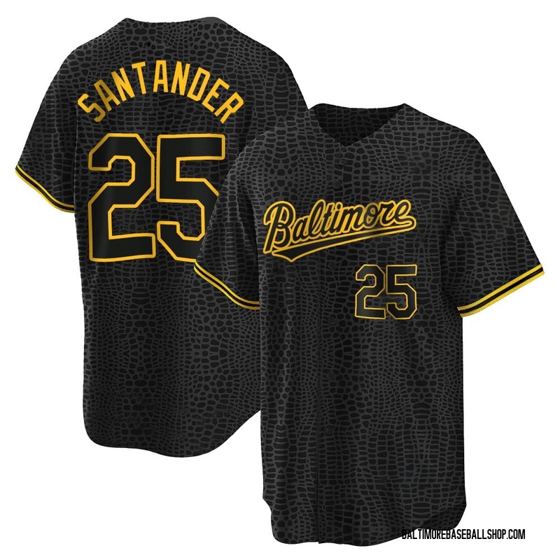 Anthony Santander Men's Baltimore Orioles 2023 City Connect Jersey - Black  Authentic